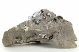 Herkimer Diamonds in Matrix - The Ace of Diamonds Mine, New York #324504-1